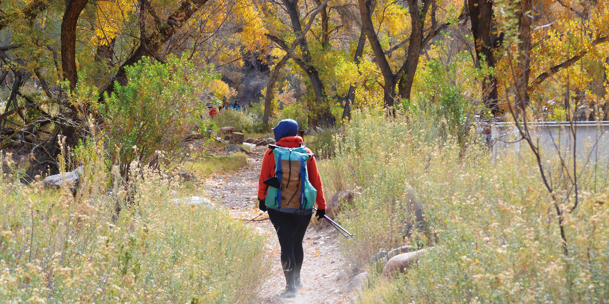 衝撃による横ブレを吸収させるKONG独自のユニークなアイスアックス
